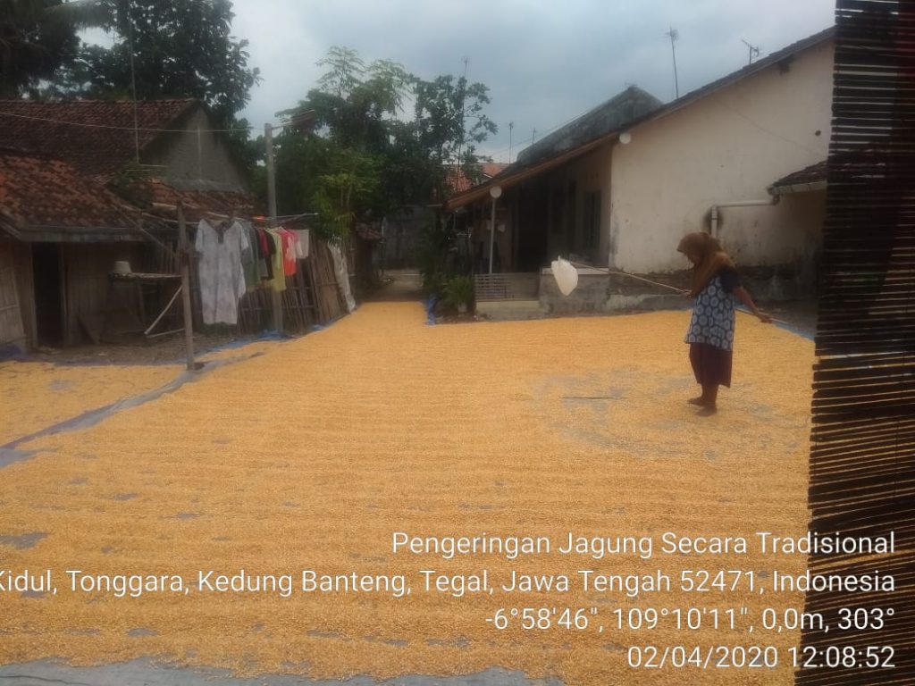 WhatsApp Image 2020-04-05 at 20.08.29