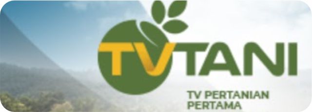 TV tani
