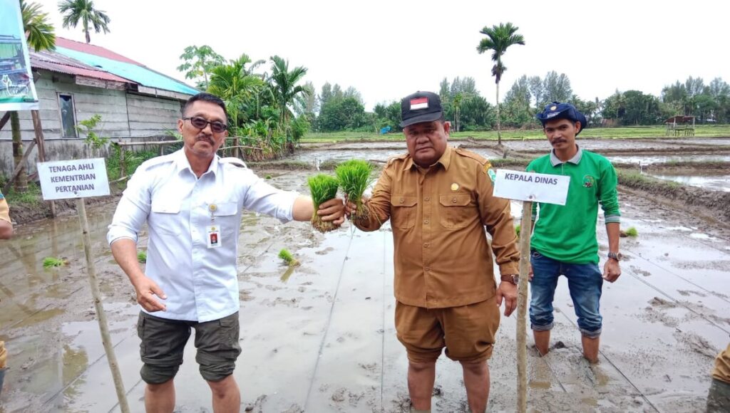 WhatsApp Image 2025-09-29 at 03.44.59