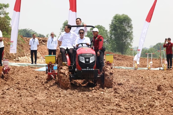 WhatsApp Image 2025-10-08 at 19.29.22