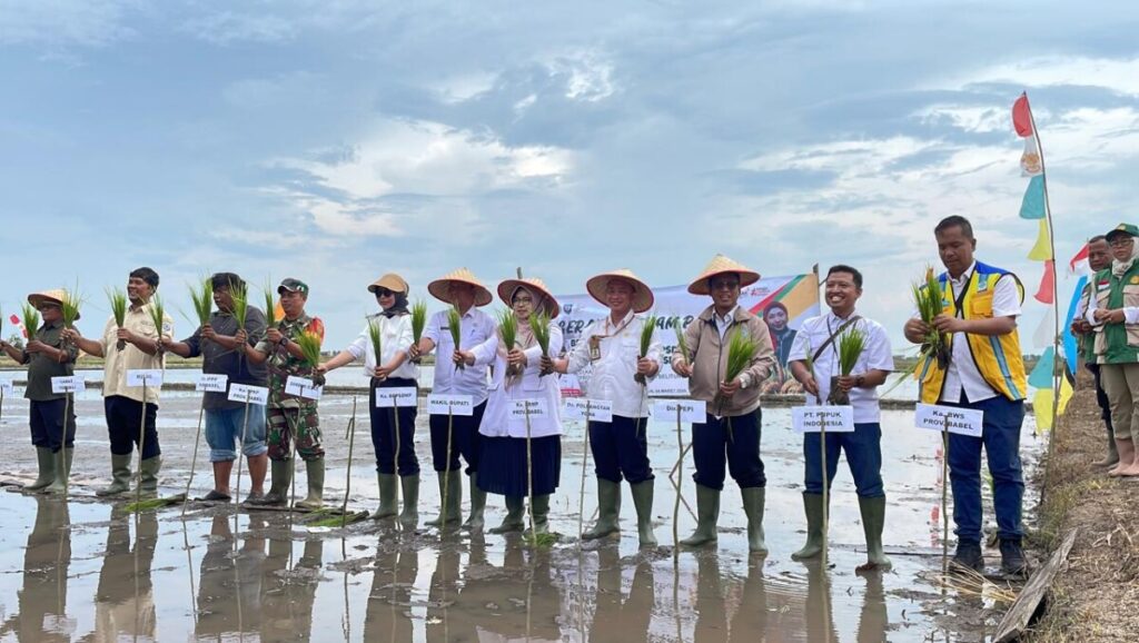 WhatsApp Image 2026-03-05 at 11.19.20